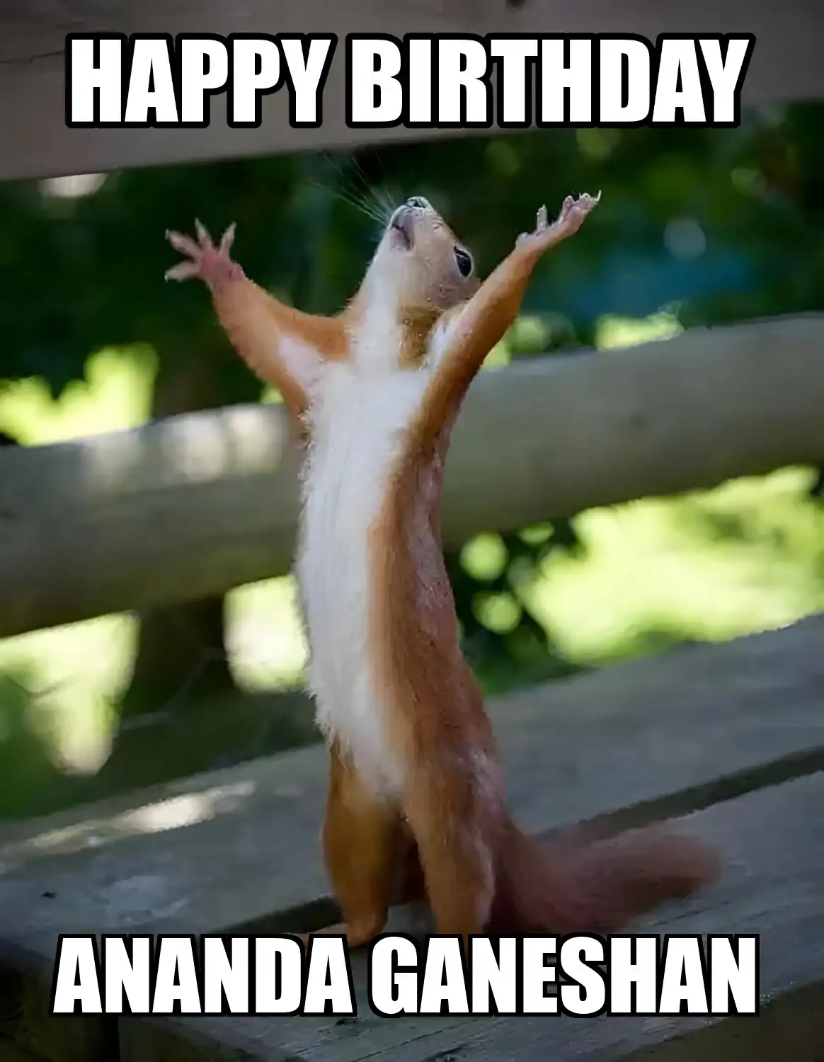 Happy Birthday Ananda ganeshan Happy Squirrel Meme